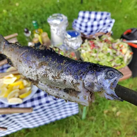 Jada Vendeghaz ベーラパットファールヴァ